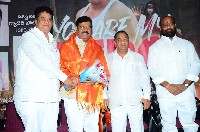 You Are My Hero Movie Pre Release Event
